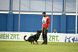 Leo de Jardines del Real