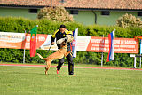 Working-Dog Hilde