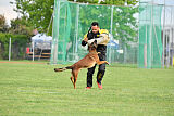 Urbancanines Hunter