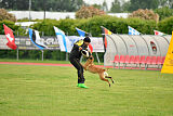 Fula Clever Fox