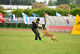Fula Clever Fox