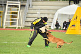 Es-Flindtto's Hascoy