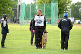 Friedel vom schnellen Falken