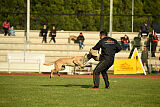 Challenge Ostraryka