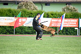 Harley Quinn Force Canina
