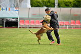 Tito Running Wild