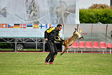 Tito Running Wild