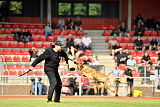 working-dog Gwendolin