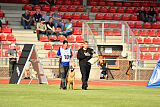 working-dog Gwendolin