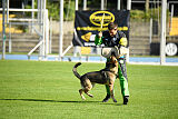 Crazy Canis Invictus