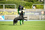 Lennox vom Ecke