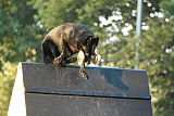 Lennox vom Ecke