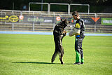 Quincy vom dunklen Zwinger