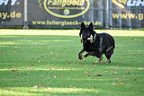 Quincy vom dunklen Zwinger