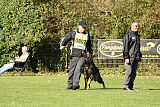 Quincy vom dunklen Zwinger