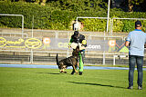 Broxx Canis Invictus
