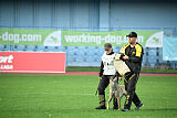 Exploze z Údolí Jizery