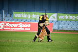 Helge Primus Proeliator
