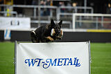 Westmac Ddraigkahlan