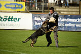 Boomer vom Wolfsdreieck
