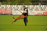 Ager Veranis K-9 Dog Center