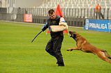 Ager Veranis K-9 Dog Center