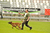 Insane van de Berlex-Hoeve