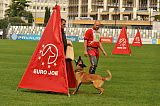 Fox von der schoenen Ecke