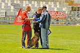 Fox von der schoenen Ecke
