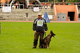 Aggi von der schwarzen Meute
