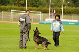 Ares vom Rabenhorst