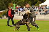 Ares vom Rabenhorst