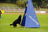 Oskar vom Haus Lohre