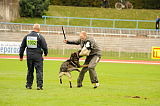 Basco vom wilden Klee
