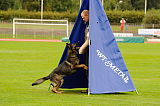 Basco vom wilden Klee
