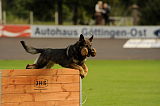 Basco vom wilden Klee