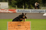Basco vom wilden Klee