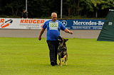 Basco vom wilden Klee