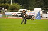 Aime von den Wölfen