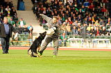 Eddy vom Vilstalgrund