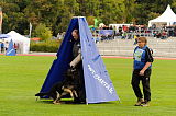Eddy vom Vilstalgrund