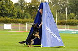 Eddy vom Vilstalgrund