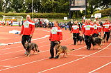 BSP 2013 Siegerehrung