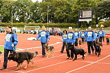 BSP 2013 Siegerehrung