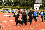 BSP 2013 Siegerehrung