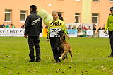 Forta Marko Gero