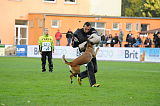 Forta Marko Gero