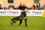Nederholms Heart van de Flex
