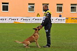 Pysäkin Bosti Pate