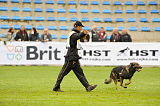 Sentinel Pike